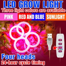 تنمو الأضواء الداخلية الضوء الكامل طيف LED Angel Ring Phyto Lamp USB Growth Tent Bombilla 5V الزراعة المائية النباتات البذور Lamparagrow