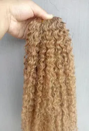 Brasilianisches Virgin Remy Kinky Curly Hair Weft Human Extensions Blonde 270 Farbe 100g ein Bündel Weaves4641472