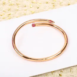 2024 Luxury Quality v Gold Material Charm Punk Bracelet com diamantes brilhantes em cores em duas cores Ter carimbo de caixa PS5176