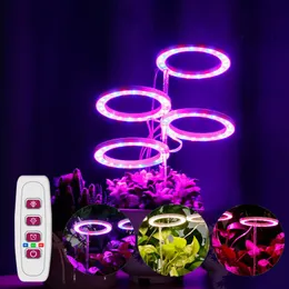 Grow Lights Angel Ring Light LED Phytolamp for Plants DC5V USB Lâmpada Full Full Spectrum Seeds Plant Seeds Home Flor Suculentgrowgrow