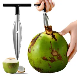 Apri di cocco Apri di frutta in cocco in acciaio inossidabile Utensile da taglio durevole Rubinetto per lavaggio con acqua Punta da trapano Apri foro Portatile Opene