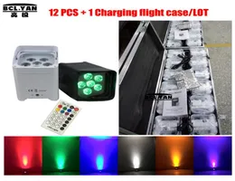 12xlot met vluchtcase LED DOM PAR Lichten Uplighting Battery Powered Wireless DMX Par Light 6x18W IR Remote4883764