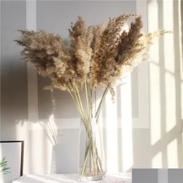 Ghirlande di fiori decorativi 10 pezzi vere piccole pampas secche erba mazzo di fiori da sposa piante naturali decorazioni per la casa goccia consegna giardino Dhzcq