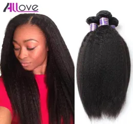Allove 8A Brazilian Human Hair Yaki Straight 4pcsLot Malaysian Hair Weaves Peruvian Virgin Hair Indian Human Virgin Extensions90264093615