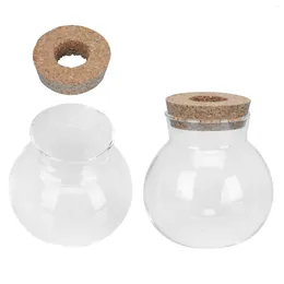 Vases Vase Jars Cork Bottle Jar Bottles Flower Decorative Round Storage Airtight Cookie Canister Rustic Party Simple Air Coffee