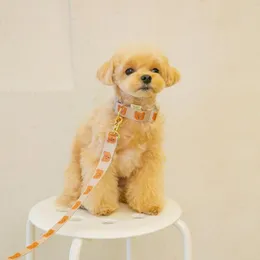 Hundhalsar Ins Korean Cat Pet Bear Collar Mjuk och hållbar koppel Lämplig för katter Yorkshire Terrier /Miniature Pinscher Set
