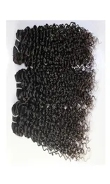 Brazilian Hair Peruvian Indian Malaysian Jerry curly Hair Weaves 3 bundle lot 100 unprocessed cheap peruvian hair Weaving 9A 577167771388