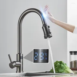 Kitchen Faucets Gourmet Faucet Sink Stainless Steel LED Touch Pull-out And Cold Water Single Lever