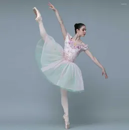 Stage Wear Professional Adult Or Children's Ballet Competition Yarn Dress Fleece Elastic Top And Pink Long Skirt