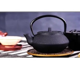 Cast Iron Tea Pot Teapot Japanese Style Kettle With Strainer Fower Tea Puer Coffee jar 300ml 20224921724