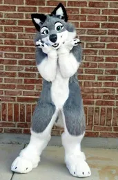 Серый длинный мех хаски Fox Dog Dog Mascot Mascot
