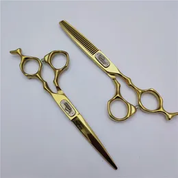 Shears Hair Scissors Professional High Quality 6.0 Inch Hairdressing Scissors Cutting Thinning Set Barber Shop Salons Shears