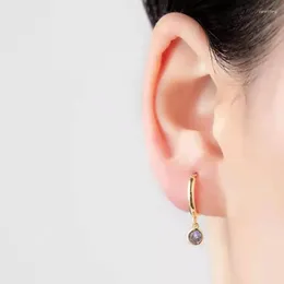 Creolen Mode Lila Runde Kristall Zirkon Anhänger Tropfen Ohrring Für Frauen Geometrische Huggie Durchbohrt Schmuck Pendiente