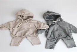 Newborn Baby Clothing Sets Autumn Boys Hooded Sweatshirt Long Sleeve Tops Kids Girls Harem Pants Suit Children Clothes Set 20102325799614