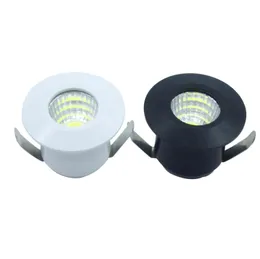 110V 220V 1W 3W MiNi LED Dowmlight Spot Light Ceiling Lamp D40mm Hole 28-32mm Black,White Shell With Driver