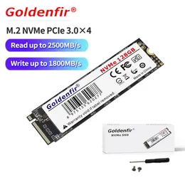 Drives GoldenFir M.2 SSD PCIe 128GB 256 GB 512 GB Hårddisk M2 NVME 1TB Internt fast tillståndsdrivning