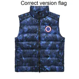 Canada Giletmen's Vests Gilet Mens Puffer Vest Designer Winter Jacket Sleeveless High Neck Down Fashion Trend for Women and Men Warm Coat Jacketsgoose