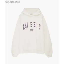 High Quality 2023 New Embroidery Style Hot Sale Women Hoodie Desginer Fashion Cotton Ab Classic Letter Print Color Sweatshirt Anines Bing 982