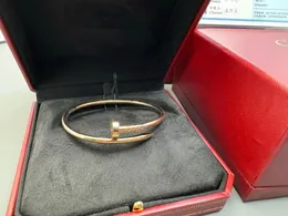 Bracelhigh Seçim için Kalite Tasarımcı Bilezikler Alfabe Tasarım Sevgililer Hediyesi Soylu ve Zarif Kadın Bilezik