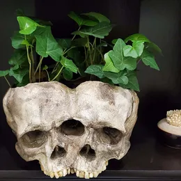 Crânio de resina plantador tigela de doces crânio de resina, decoração de halloween gótico retro crânio cabeça flor suculentas pote esculpido