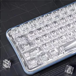 لوحات المفاتيح لوحة المفاتيح الميكانيكية CBSA Profile PC Keycap Clear Crystal Backleit RGB Custom ISO Layout 132 Keys شفاف PC Caps Iceberg 231130