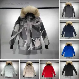 Modieus donsjack van Canadese designer, grote gans Europese en Amerikaanse vrijetijdsdons katoenen jas, korte herentop