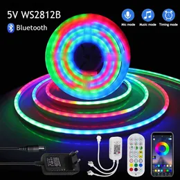 LED Neon Sign Bluetooth APP Control LED Strip 5V WS2812B Dream Color Neon Light Waterproof TV BackLight Home Decor Flexible Ribbon Tape Diode YQ231201