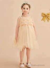 Girl Dresses Children's Dress A-line Knee-length Tulle Flower Dress/Bridesmaid Dresses/