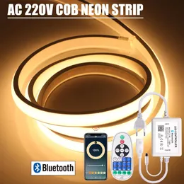 Sinal de néon LED Bluetooth APP Controle Dimmerable Neon Strip AC 220V Impermeável TV Backlight Home Decor Flexível Stripe Chain Tape LED Light YQ231201