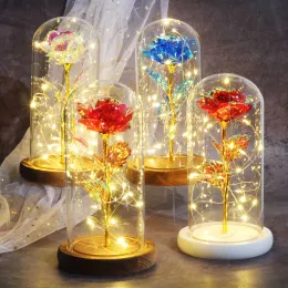 Valentine gift Beauty Eternal Rose Eternal LED light Beauty and Beast Rose in glass Dome birthday Gift for Valentine's Day 0110