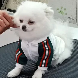 犬のアパレルデザイナー犬服ペットジャケットファッション冬の服犬冬の屋外ウェア