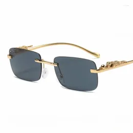 Güneş gözlükleri çita dekoratif kenarsız kare renk retro leopar kafa metal erkekler ve kadınlar için. Gafas de Aviador