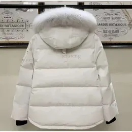남성과 여성을위한 겨울 가위 거위 다운 재킷 짧은 커플 스타일 모피 칼라 캐나다 두꺼운 재킷 빵 재킷 225