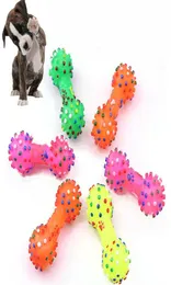 NOWOŚĆ Zabawy psów przybywających kolorowe kropkowane zabawki dla psów w kształcie hantli ściskają się piszczący faux kości zwierzaka do żucia dla psów 5683084