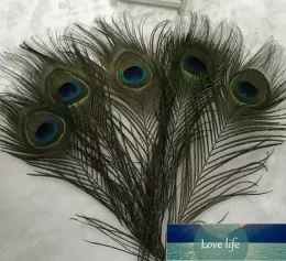 Natural Peacock Feather 23-30cm DIY Clothing Decoration Plumage Crafts Quality