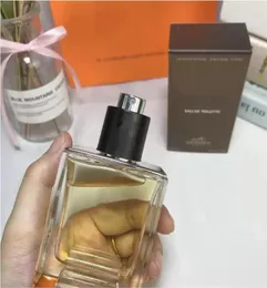 Designer Perfume 100ml terre man cologne Eau De Toilette Fragrance Spray for Men Long Lasting Time fast ship7237064