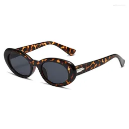 Sunglasses 2023 Vintage Luxry Leopard Cat Eye Small Frame Eyewear Women And Men