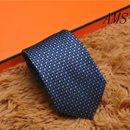 2024 Мужские галстуки на шею Дизайнерские галстуки Модные мужские галстуки с буквенным принтом Бизнес Досуг Галстук ручной работы 100% Шелк Роскошь Высочайшее качество без коробки