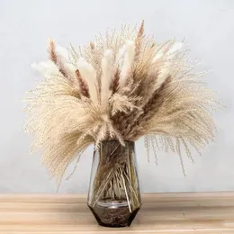 Fiori decorativi Secchi Pampas Erba Decorazione Bella canna Matrimonio Mazzo di fiori Piante naturali Giunco artificiale per la casa Natale