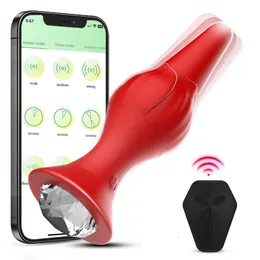 Plug anale rosa APP plug anale vibrante in silicone a 9 frequenze che carica masturbatore femminile da cortile prodotti sessuali per adulti 231204