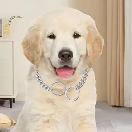 Hundhalsar husdjur smycken stilfullt rostfritt stål halsband bekväm kedja krage fashionabla tillbehör för älskade hållbara
