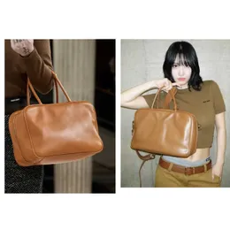 헤드 레이어 카우 히드 백리르 테르르 한국 버전 가을 새로운 고용량 여성 가방 가방 갈색 핸드백 베개 231205