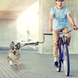 Hundbärare cykel koppel sele ridande husdjur drar rep utomhus dragning av promenader drar små