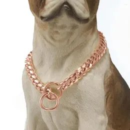 Hundhalsar Pet smycken Styliskt rostfritt stålhalsband Bekväm kedjekrage Fashionabla tillbehör för älskade lätt att bära