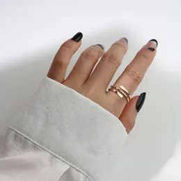 Luxury Fashion Designer Jewelry partyClassic Simple Sterling Silver Thick Gold Plated Open Ring Women's Korean Version Temperament Style Colorless