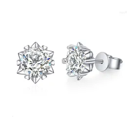 S925 스털링 실버 1ct 2ct 3ct 4ct moissanite 다이아몬드 눈송이 푸시 백 스터드 이어링 여자 남성 보석