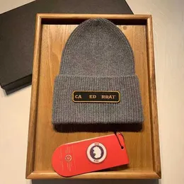 Kanadalı Kaz 17 Renk Tasarımcı Moda Beanie Kanada Arktik Disk Diskli Tok Şapka Örme Yünlü Şapka Sıcak Rüzgar Geçirmez Fine Grain Düz Renk Beanie 5 9pyn