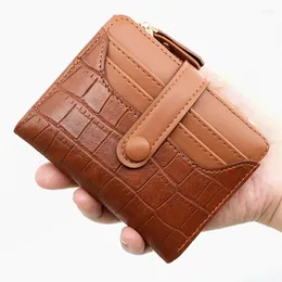 Portfele krótka torebka Zamknij Zamknięcie skradzionej sztucznej skóry krokodyli dla mężczyzn Woman Pocket Bag