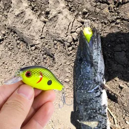 Приманки, 1 шт., 55 см, 9 г, pesca Crankbait, жесткая приманка, искусственные приманки для плавания, японский воблер, 231207