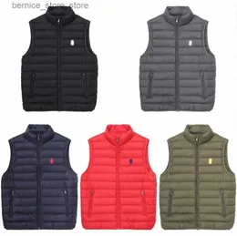 Gilets pour hommes Polo hommes gilets col vertical vers le bas gilets chauds sans manches poney Hip Hop vestes de mode manteaux d'extérieur S-XXXL s0Yj # Q231208